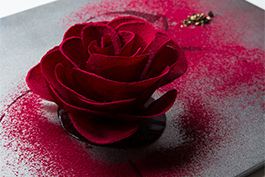 le sputnik （ル スプートニク）