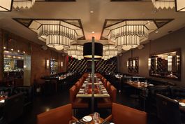 AMERICAN CUT TRIBECA