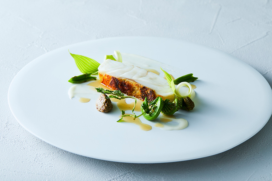 Plaiga TOKYO （プレーガトウキョウ）