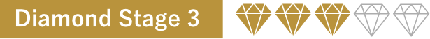 Diamond Stage 2