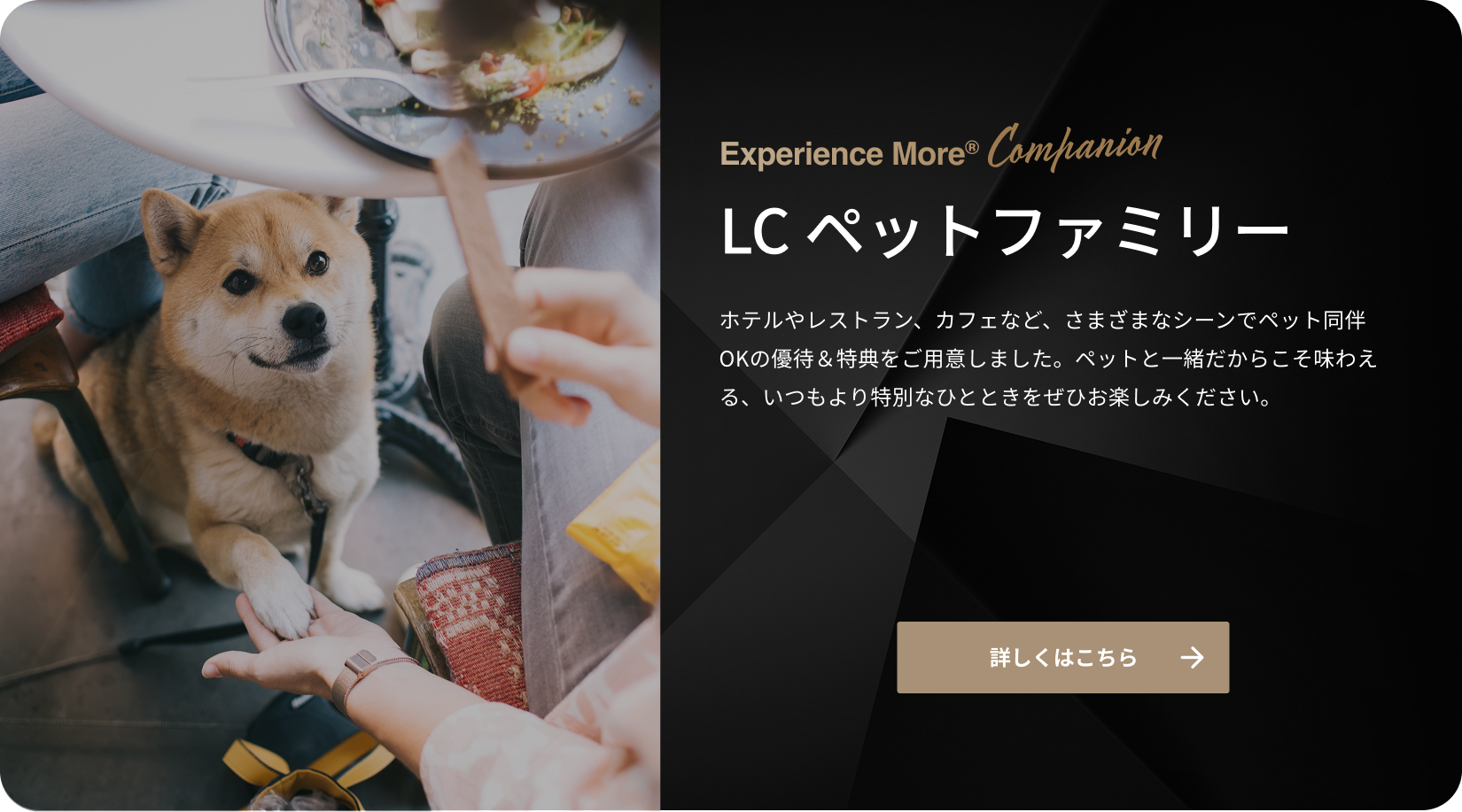 ファーストビューの画像