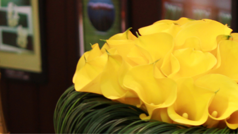 flo.dance（フラダンス）画像