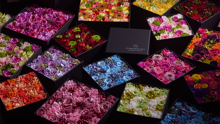 ニコライ バーグマン画像