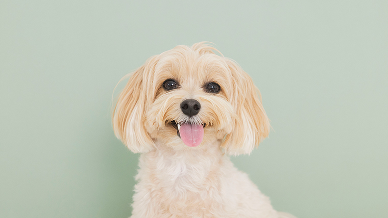 ライフスタイル優待