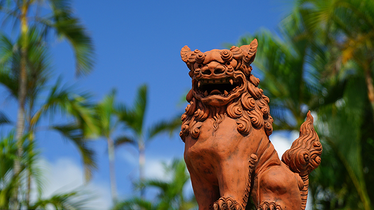 Experience More® 沖縄画像